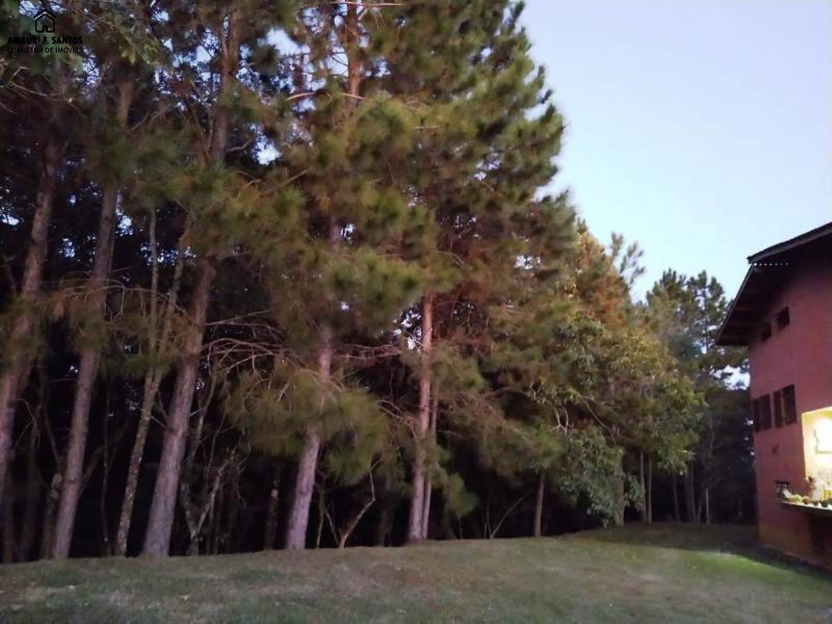 Chácara em , São Roque - Foto 9